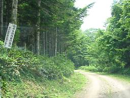 道道湯里生田原停車場線（道道592号） その1