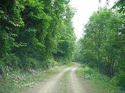 道道湯里生田原停車場線（道道592号） その1