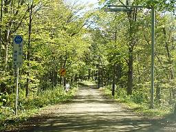 道道二又北見線(道道682号)