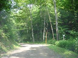 道道湯里生田原停車場線（道道592号） その2